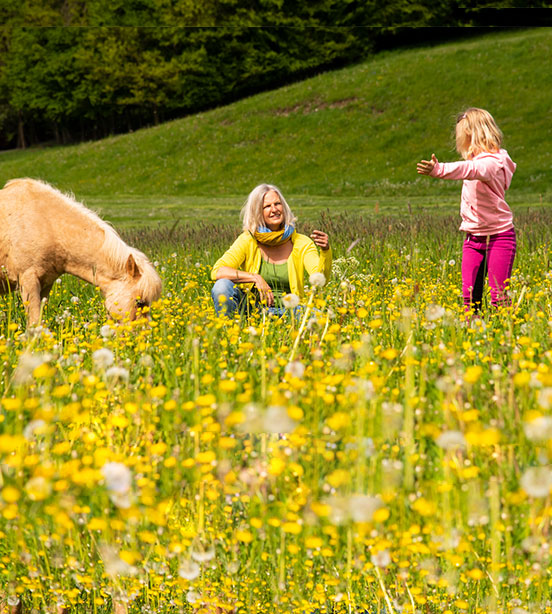 Reiten - Pony Naturkind Reitunterricht alternativ