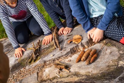 wir lernen für die Schule - im Wald