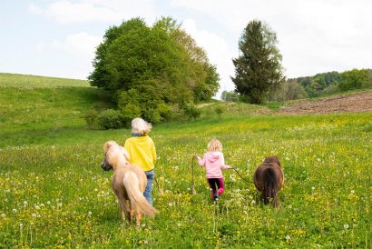 Reiten lernen in der Nähe von Salzburg