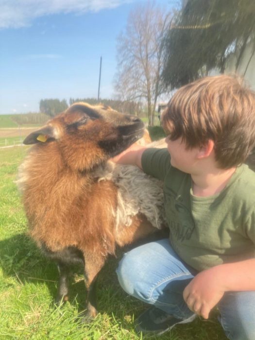 Kinder und Tiere - Reitstall Grabenstätt