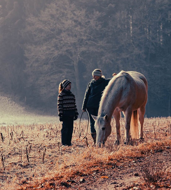 Reiten für Kinder in Grabenstätt im Chiemgau