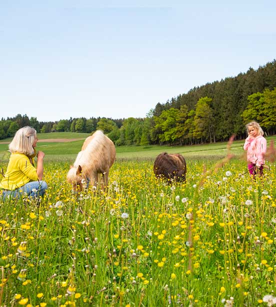 Ponys reiten Kinderreiten in der Kinderreitschule Grabenstätt im Chiemgau in Bayern