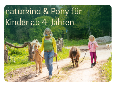 Ponyzeit für Kinder ab 4 Jahren bei Naturkindpony - Kinderreitschule Grabenstätt