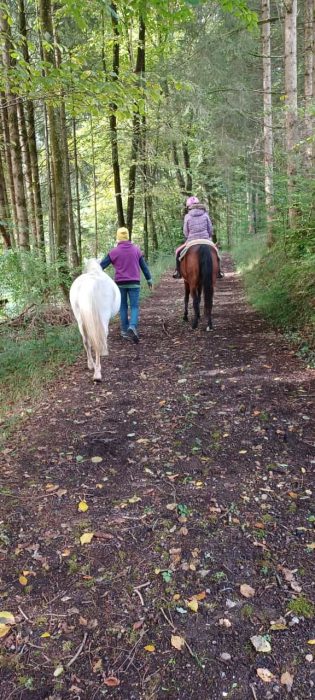 Reiten für Kinder in Grabenstätt im Chiemgau