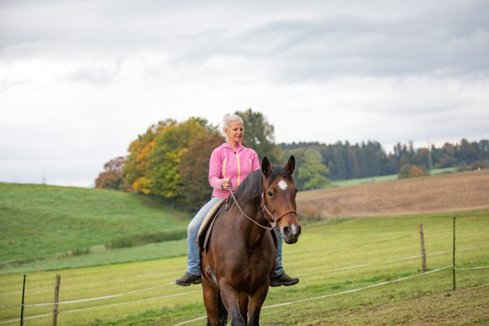 Reiterhof im Chiemgau in BAyern NAturkind Pony