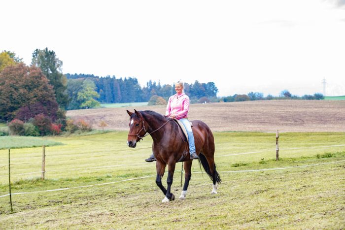 Reiten im Chiemgau in BAyern - Reitstall