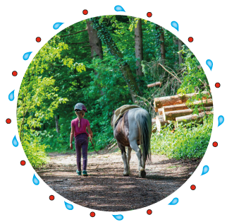 Reiten für Kinder bei NAturkind - Ponyreiten Grabenstätt