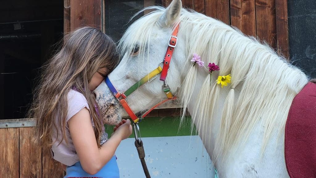 Reiten für Kinder Gutschein