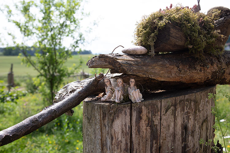 3 Elfen in einem Baumstumpf - Kiderreitschule Grabenstätt Sonja Schett 