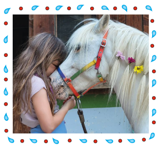 Reiten für Kinder in Grabenstätt im Chiemgau - bei NAturkindpony